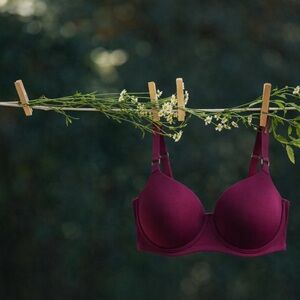 Fruit of the Loom Mulberry T-Shirt Bra No Padding NWOT Size XL